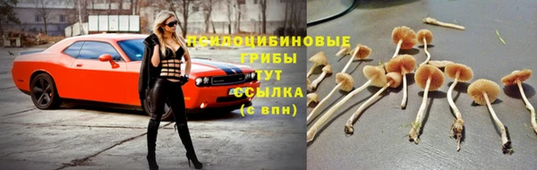 MDMA Лагань