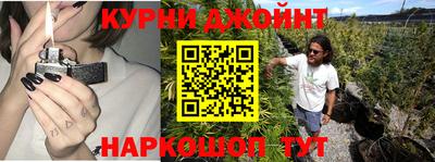 амф Гусев