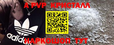 амф Гусев