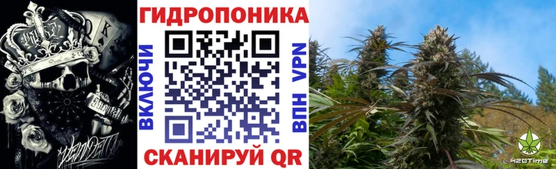 Бошки марихуана ГИДРОПОН Курчатов